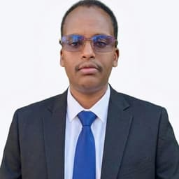 Professional profile portrait